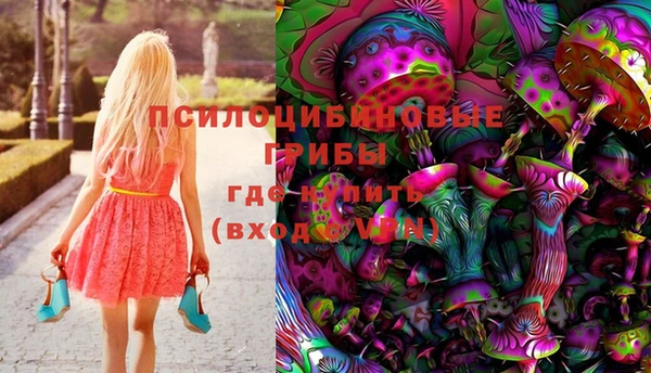 spice Вязьма